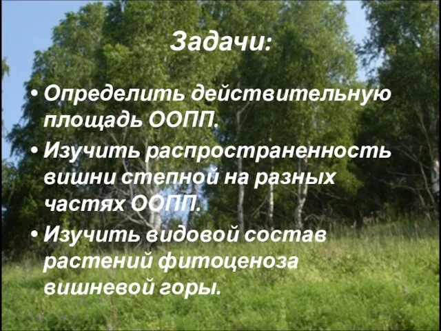 Задачи: Определить действительную площадь ООПП. Изучить распространенность вишни степной на разных частях