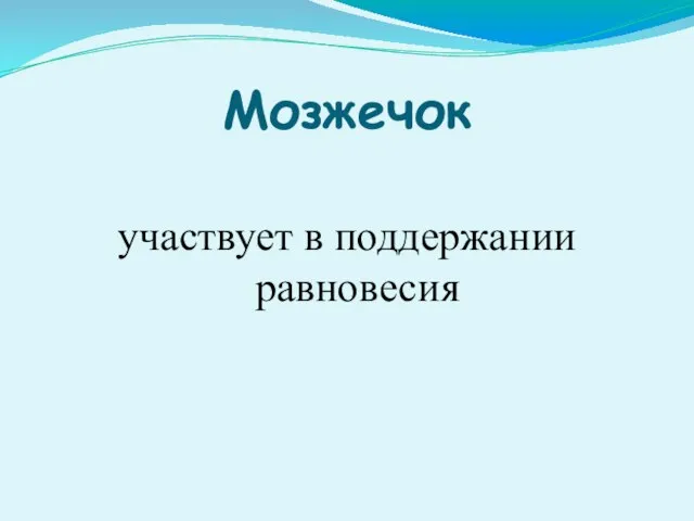 Мозжечок участвует в поддержании равновесия