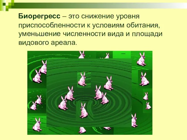 Биорегресс – это снижение уровня приспособленности к условиям обитания, уменьшение численности вида и площади видового ареала.