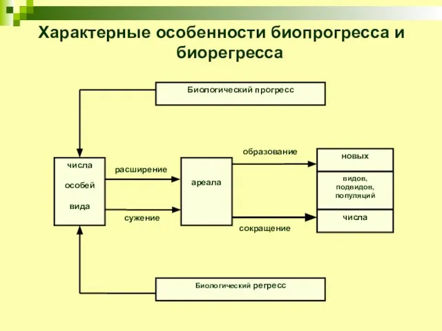 Характерные особенности биопрогресса и биорегресса расширение сужение образование сокращение