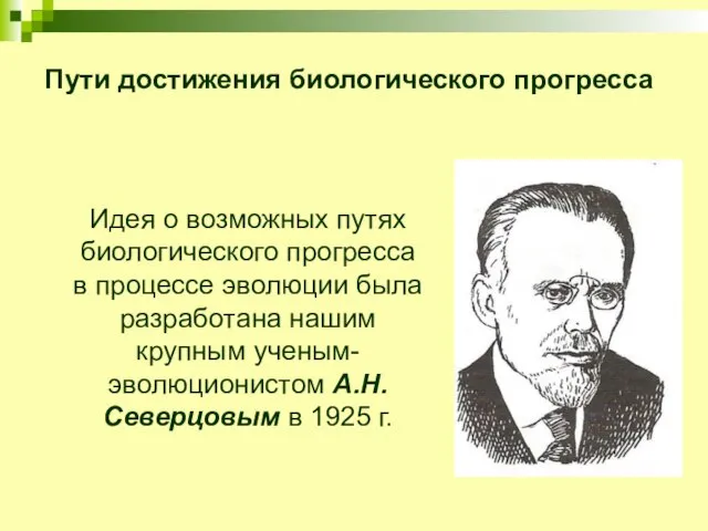 Пути достижения биологического прогресса Идея о возможных путях биологического прогресса в процессе