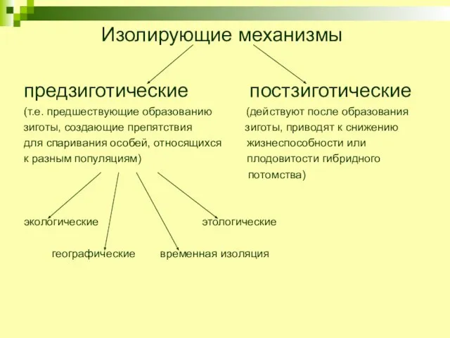 Изолирующие механизмы предзиготические постзиготические (т.е. предшествующие образованию (действуют после образования зиготы, создающие