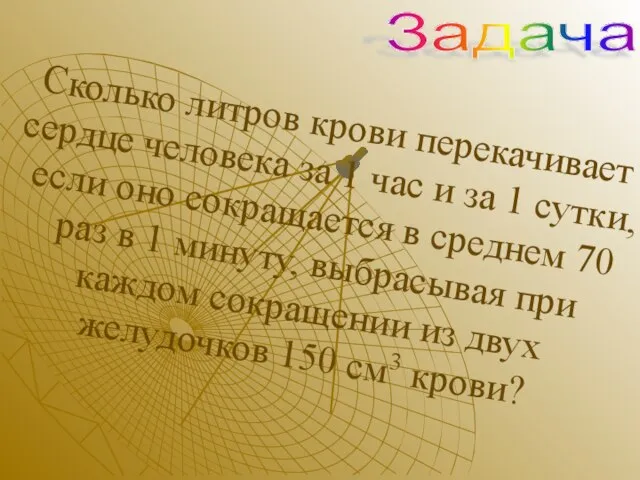 Сколько литров крови перекачивает сердце человека за 1 час и за 1