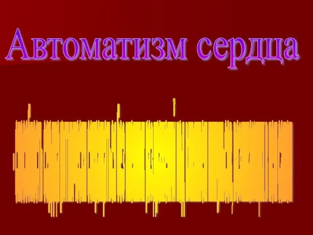 Автоматизм сердца - способность сердца ритмически сокращаться без внешних раздражений под влиянием