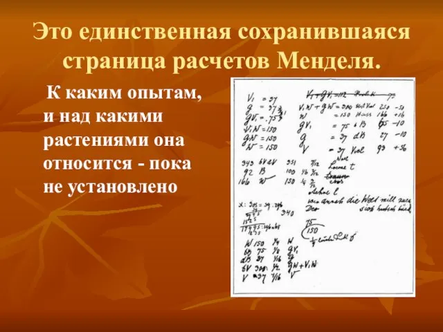 Это единственная сохранившаяся страница расчетов Менделя. К каким опытам, и над какими