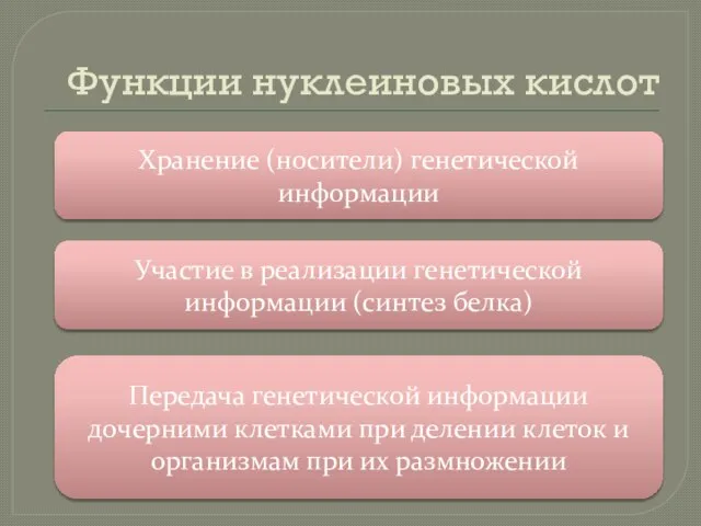 Функции нуклеиновых кислот Хранение (носители) генетической информации Участие в реализации генетической информации