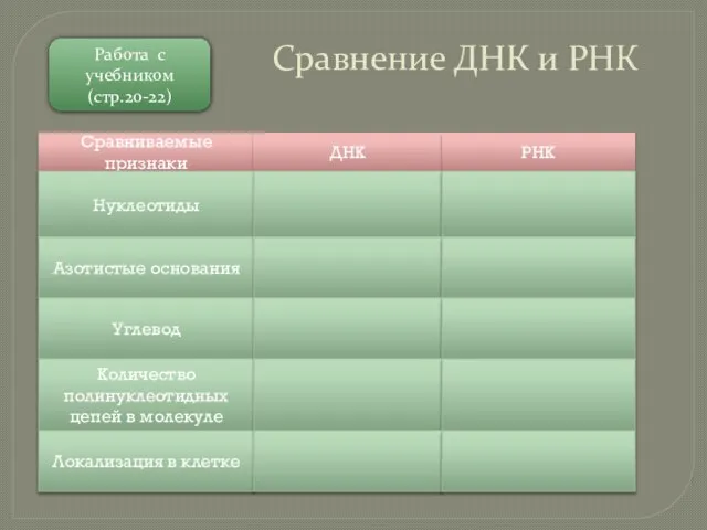 Работа с учебником (стр.20-22) Сравнение ДНК и РНК Сравниваемые признаки ДНК РНК