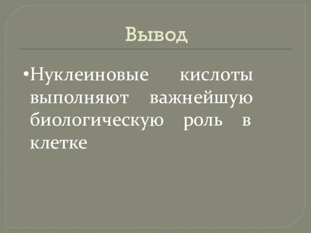 Вывод Нуклеиновые кислоты выполняют важнейшую биологическую роль в клетке