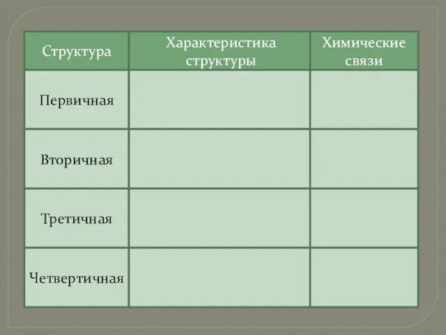 Структура Характеристика структуры Химические связи Первичная Вторичная Третичная Четвертичная