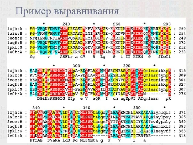 Пример выравнивания