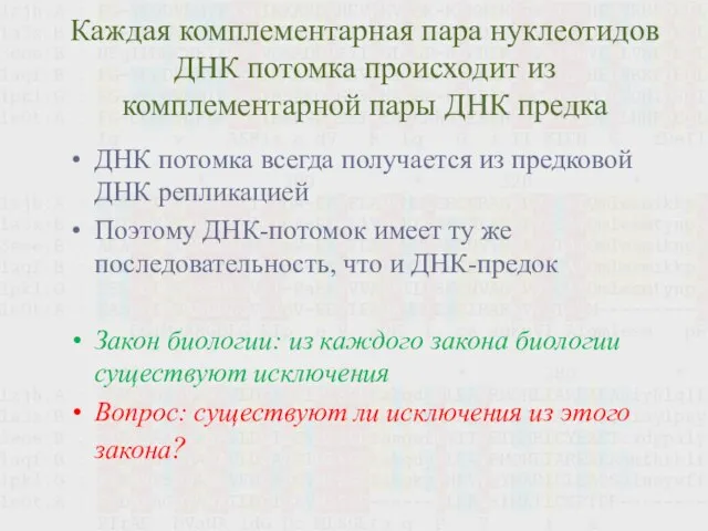 Каждая комплементарная пара нуклеотидов ДНК потомка происходит из комплементарной пары ДНК предка