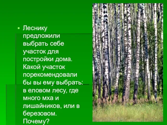 Леснику предложили выбрать себе участок для постройки дома. Какой участок порекомендовали бы