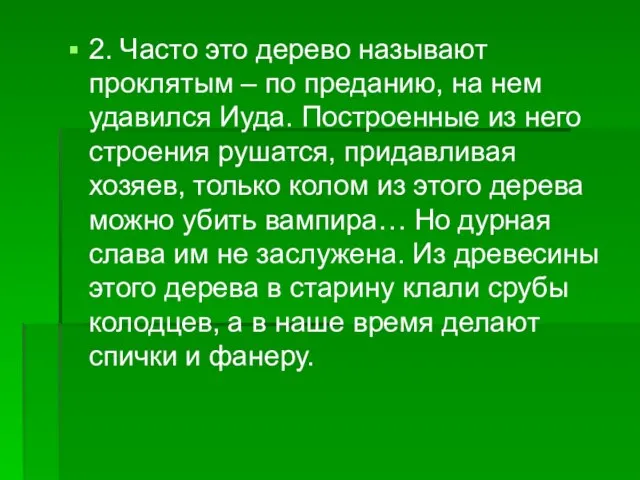 2. Часто это дерево называют проклятым – по преданию, на нем удавился