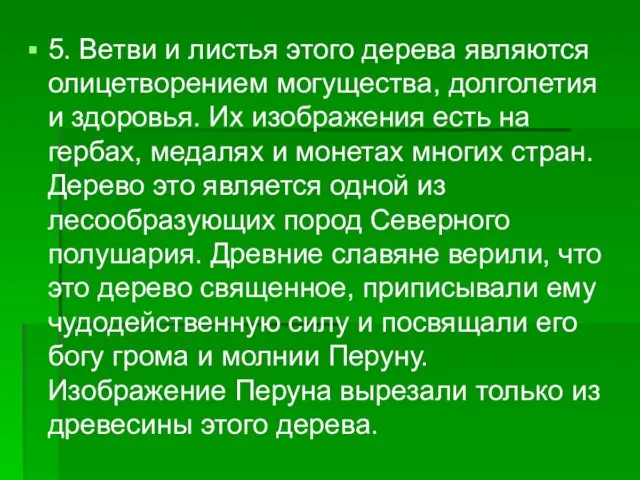 5. Ветви и листья этого дерева являются олицетворением могущества, долголетия и здоровья.