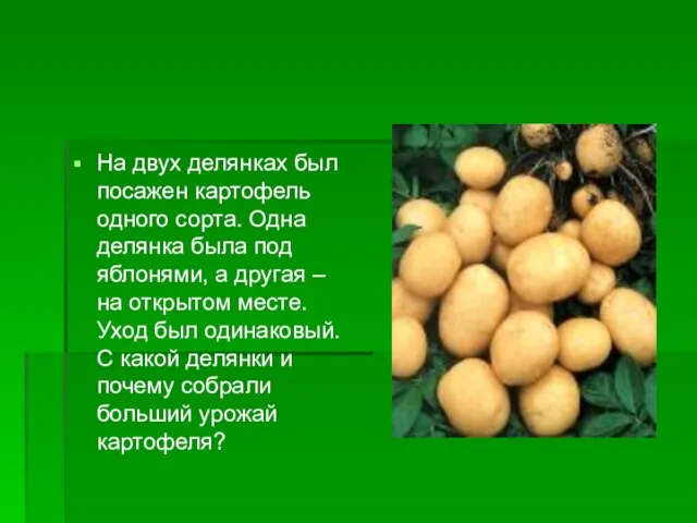 На двух делянках был посажен картофель одного сорта. Одна делянка была под