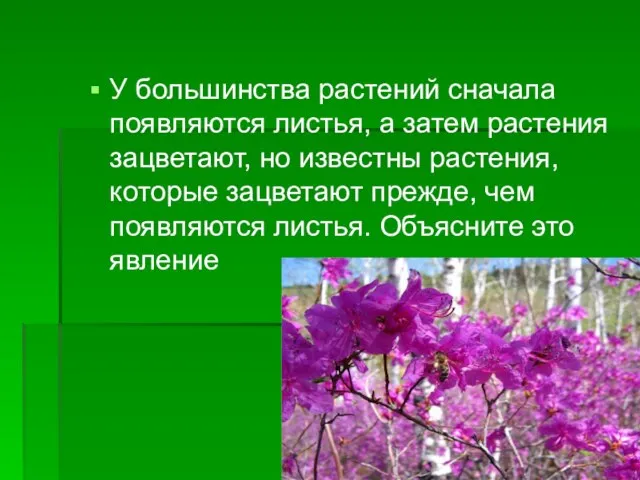 У большинства растений сначала появляются листья, а затем растения зацветают, но известны