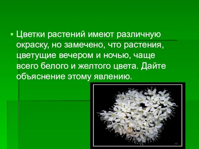 Цветки растений имеют различную окраску, но замечено, что растения, цветущие вечером и