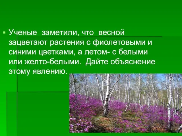 Ученые заметили, что весной зацветают растения с фиолетовыми и синими цветками, а