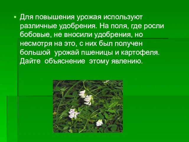 Для повышения урожая используют различные удобрения. На поля, где росли бобовые, не