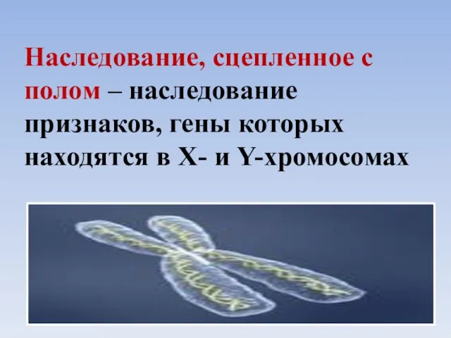 Наследование, сцепленное с полом – наследование признаков, гены которых находятся в Х- и Y-хромосомах