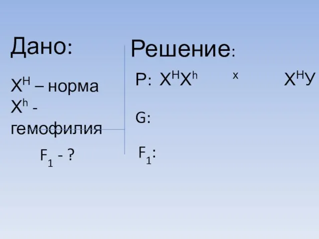 Дано: ХН – норма Хh - гемофилия F1 - ? Решение: Р: