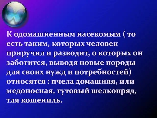 К одомашненным насекомым ( то есть таким, которых человек приручил и разводит,