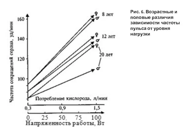 Рис. 6. Возрастные и половые различия зависимости частоты пульса от уровня нагрузки