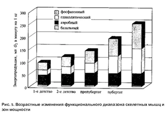 Рис. 5. Возрастные изменения функционального диапазона скелетных мышц и зон мощности