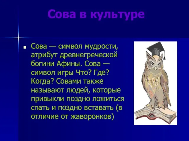 Сова в культуре Сова — символ мудрости, атрибут древнегреческой богини Афины. Сова