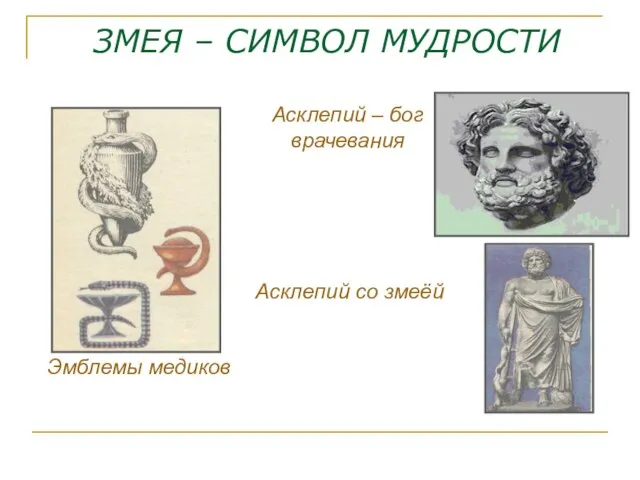 ЗМЕЯ – СИМВОЛ МУДРОСТИ Асклепий – бог врачевания Асклепий со змеёй Эмблемы медиков