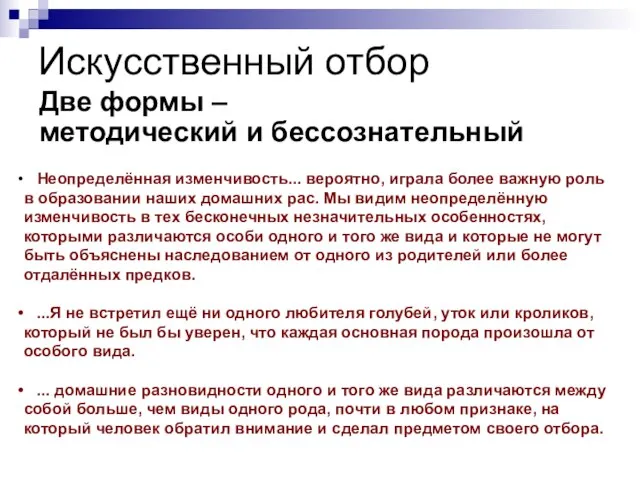 Искусственный отбор Две формы – методический и бессознательный Неопределённая изменчивость... вероятно, играла