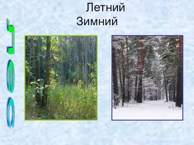 Летний Зимний лес