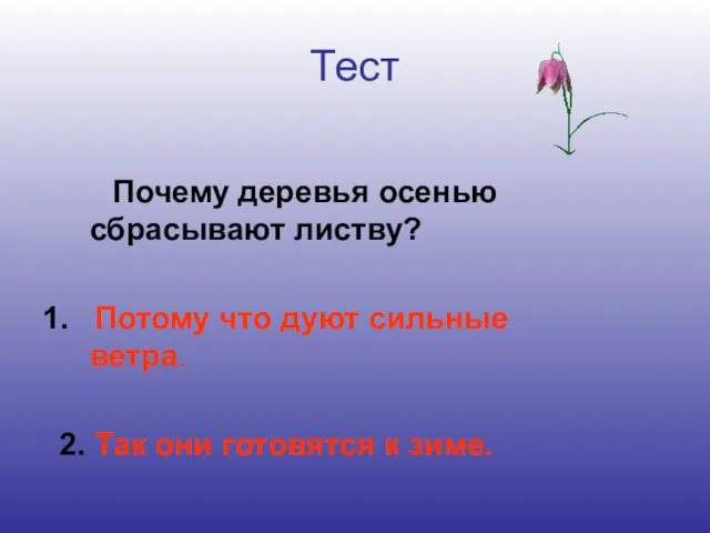 Тест Почему деревья осенью сбрасывают листву? 1. Потому что дуют сильные ветра.