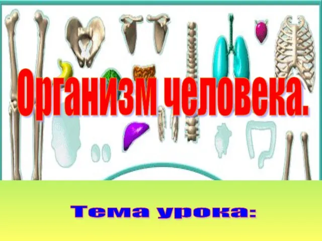 Организм человека. Тема урока: