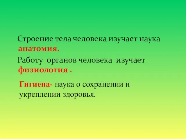 Строение тела человека изучает наука анатомия. Работу органов человека изучает физиология .