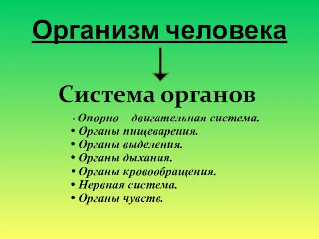 Организм человека Система органов Опорно – двигательная система. Органы пищеварения. Органы выделения.