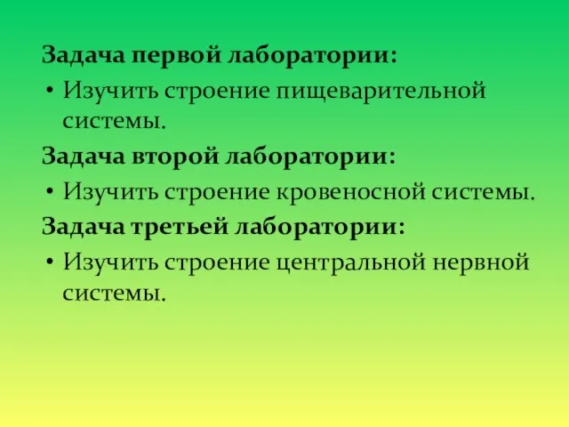 Задача первой лаборатории: Изучить строение пищеварительной системы. Задача второй лаборатории: Изучить строение