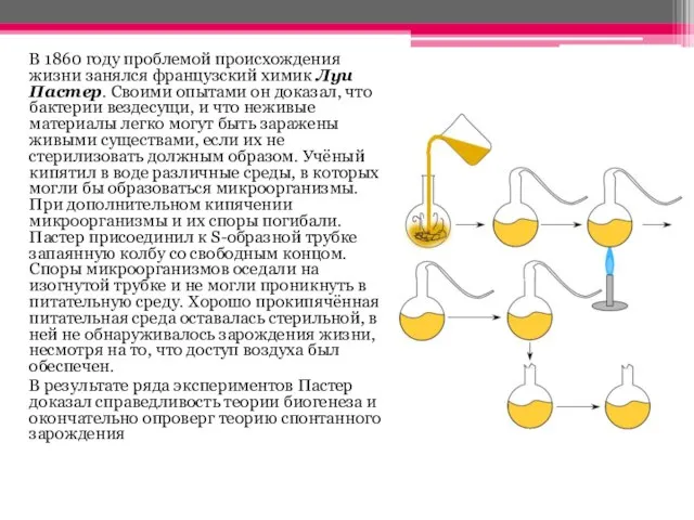 В 1860 году проблемой происхождения жизни занялся французский химик Луи Пастер. Своими