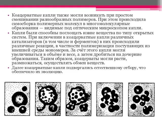 Коацерватные капли также могли возникать при простом смешивании разнообразных полимеров. При этом