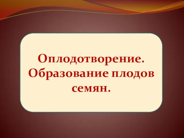 Оплодотворение. Образование плодов семян.