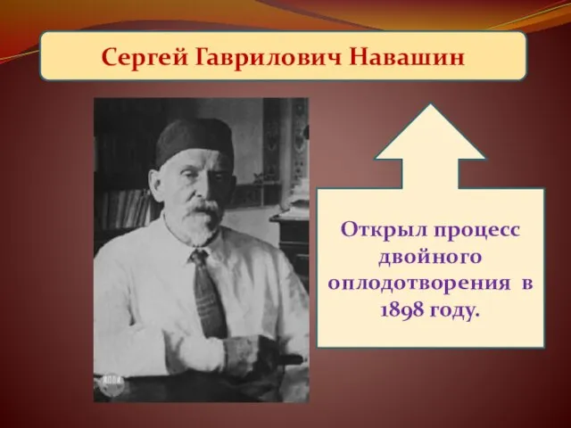Сергей Гаврилович Навашин Открыл процесс двойного оплодотворения в 1898 году.