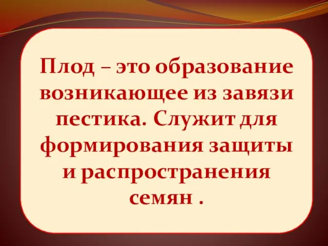 Плод – это образование возникающее из завязи пестика. Служит для формирования защиты и распространения семян .