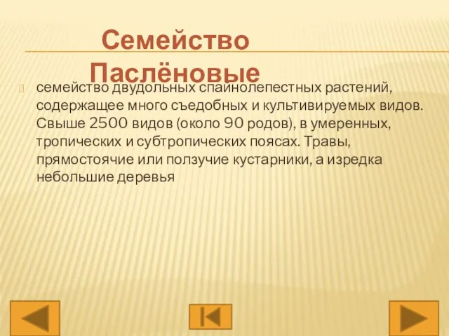 семейство двудольных спайнолепестных растений, содержащее много съедобных и культивируемых видов. Свыше 2500