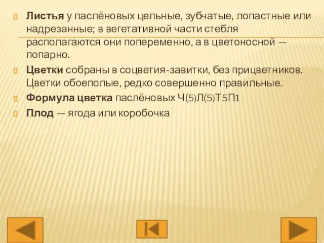 Листья у паслёновых цельные, зубчатые, лопастные или надрезанные; в вегетативной части стебля