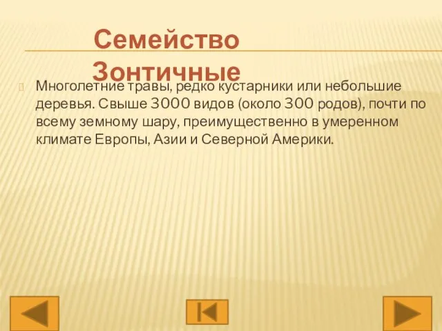 Многолетние травы, редко кустарники или небольшие деревья. Свыше 3000 видов (около 300