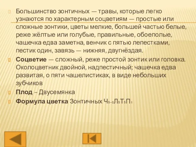 Большинство зонтичных — травы, которые легко узнаются по характерным соцветиям — простые