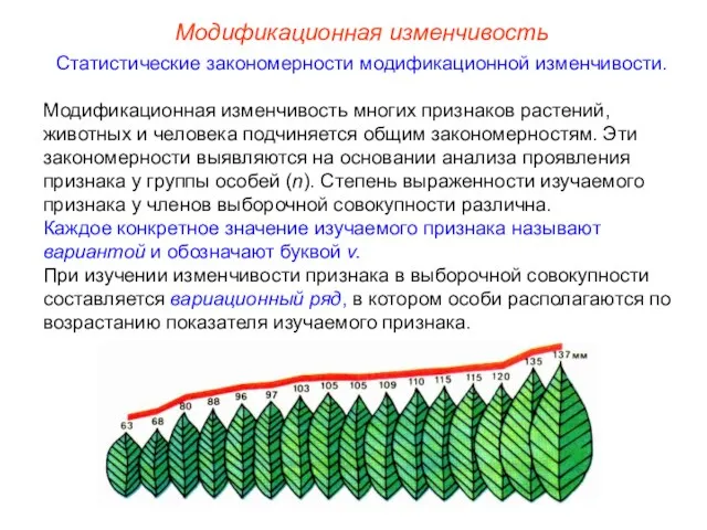 Модификационная изменчивость Статистические закономерности модификационной изменчивости. Модификационная изменчивость многих признаков растений, животных