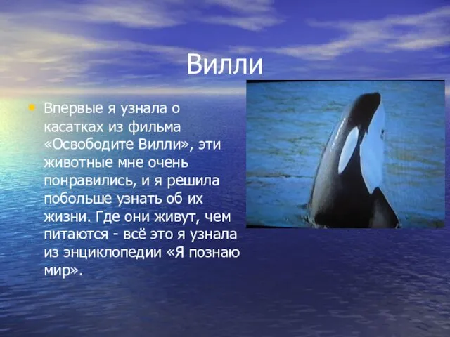 Вилли Впервые я узнала о касатках из фильма «Освободите Вилли», эти животные