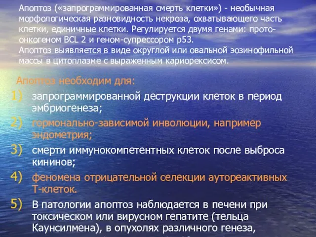 Апоптоз («запрограммированная смерть клетки») - необычная морфологическая разновидность некроза, охватывающего часть клетки,