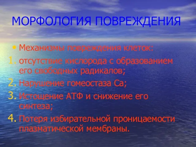 МОРФОЛОГИЯ ПОВРЕЖДЕНИЯ Механизмы повреждения клеток: отсутствие кислорода с образованием его свободных радикалов;